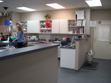 Picture of Quarry Ridge Animal Hospital Treatment Room
