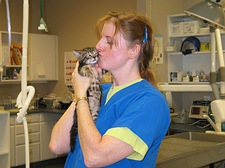Picture of staff member cuddling a kitten patient