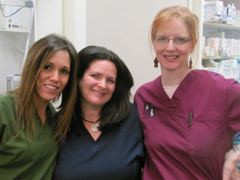 Michele, Sue, and Janet are vet techs at Quarry Ridge Animal Hospital