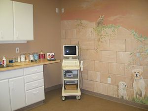 Ultrasonography room