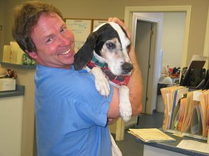 Picture of Quarry Ridge vet with patient