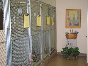 picture of kennel rows