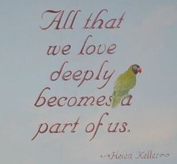 picture of illustrated Hellen Keller quote