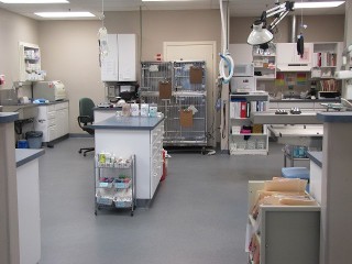 picture of treatment room