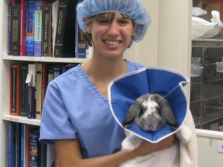 Becky holds a bunny while she recovers in our treatment room