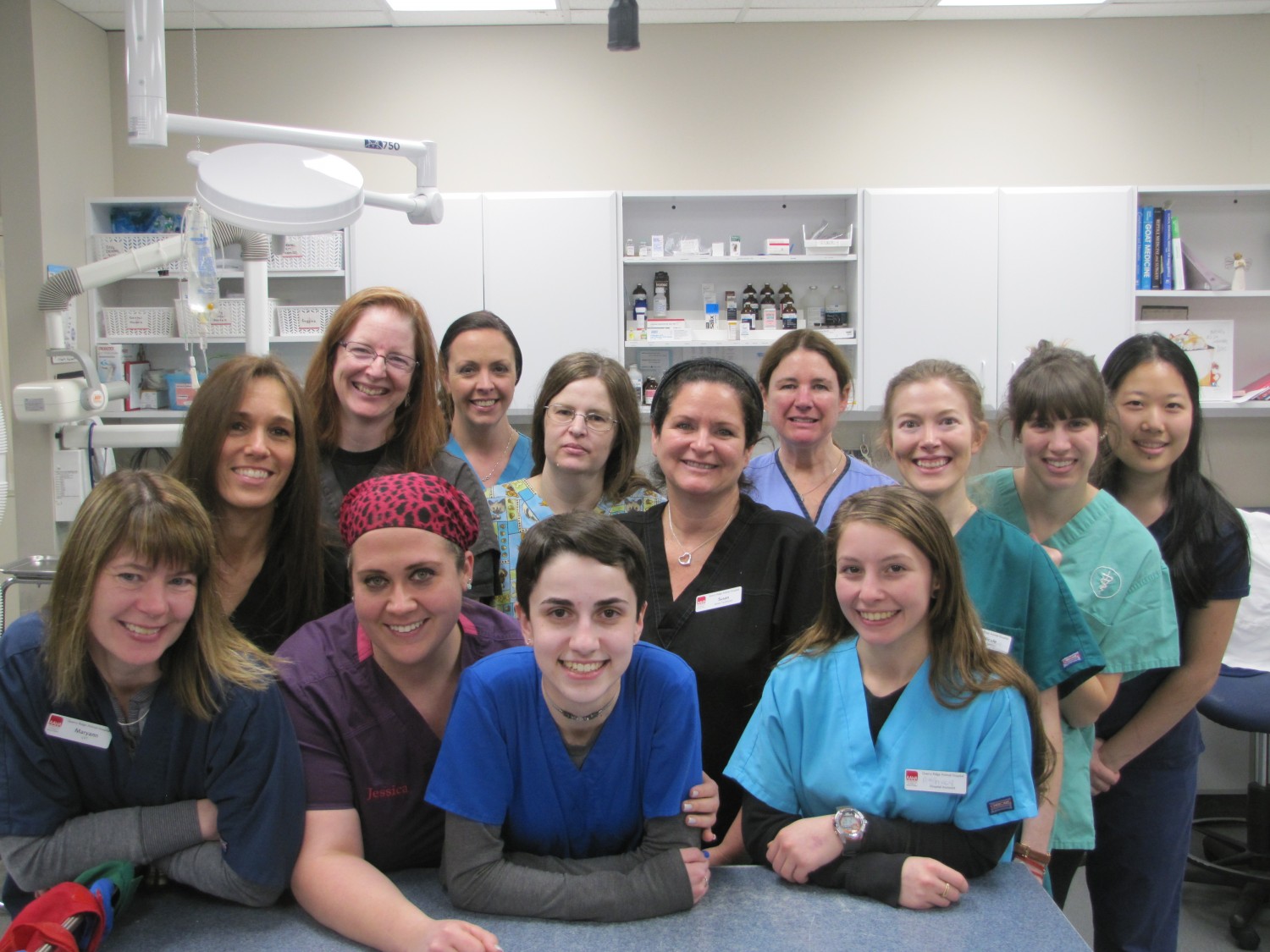 Meet the team of talented vet techs at Quarry Ridge Animal Hospital
