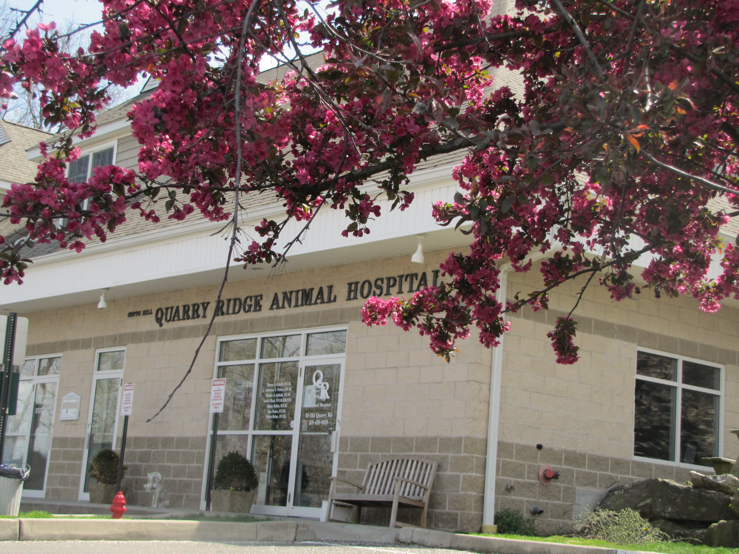 Quarry Ridge Animal Hospital, serving Ridgefield, CT since 1992