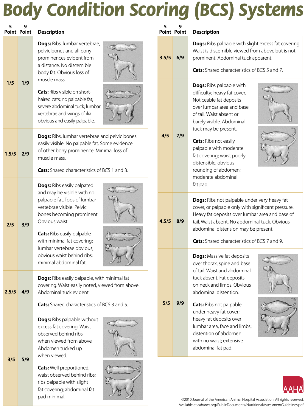 Body Condition Scoring Systems for Dogs and Cats - AAHA